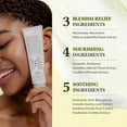 thumbnail image 2 of Dr.Althea 345 Relief Cream, Daily Face Moisturizer, Blemish Relief Care, Soothing Recovery & Moisture, Korean Skin Care for All Skin Types, 1.7 Fl Oz (Pack of 2), 2 of 6