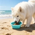 thumbnail image 6 of Collapsible Slow Feeder Bowl, Travel Dog Cat Bowl, Silicone Foldable Food Water Dish with Slow Eating Design, Portable Pet Bowl for Outdoor Hiking, 6 of 6