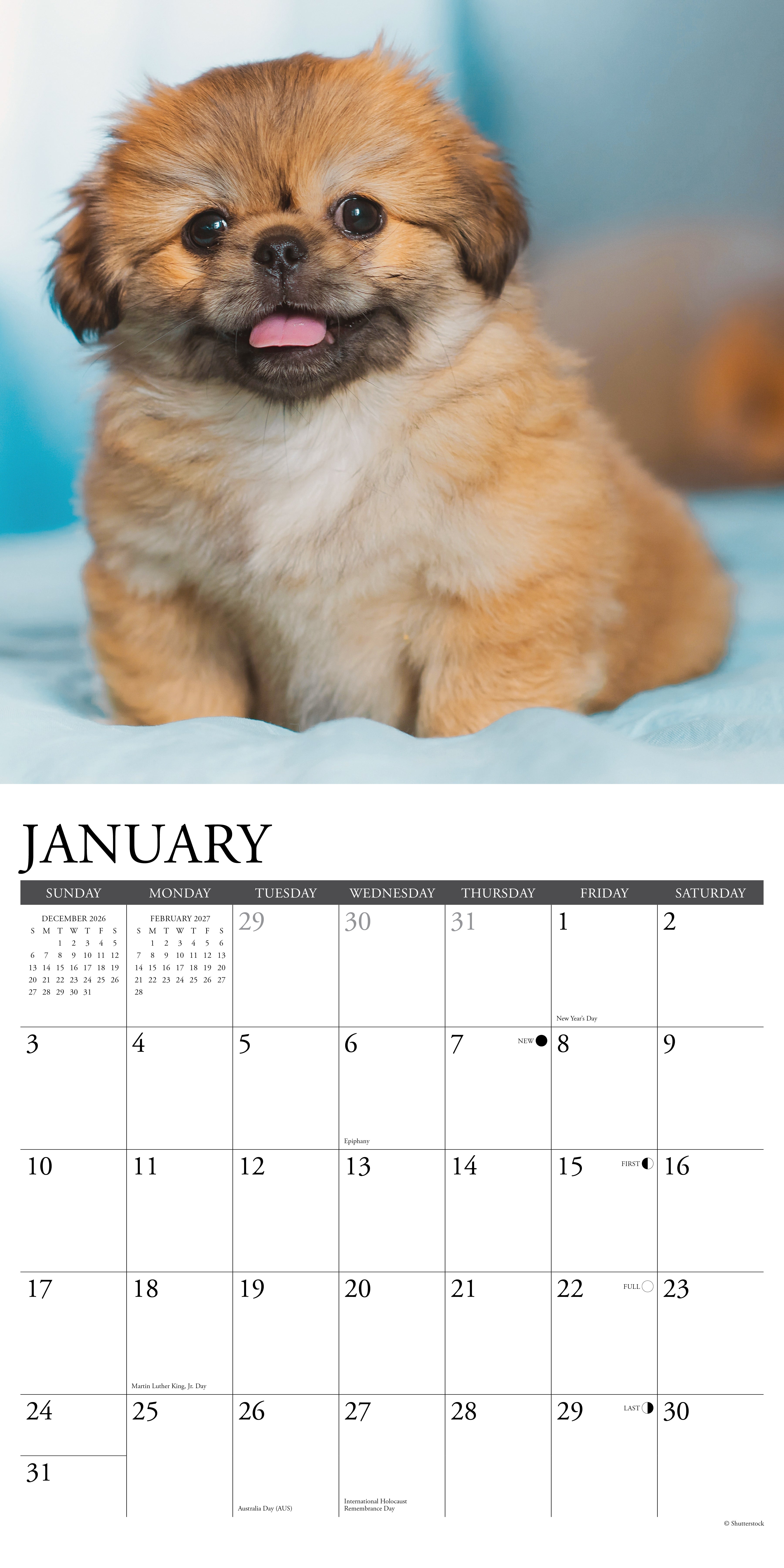 Willow Creek Press, Pekingese 2027 Wall Calendar