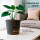 thumbnail image 2 of Maceta Elly Décor Cónica Negro Carbón 13 L con Drenaje Roscable y Protección UV para Interior y Exterior, 2 of 6