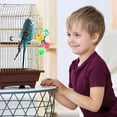 thumbnail image 7 of Halinfer Bird Stand Perch Toy with Rotating Balls for Parakeets, Parrots, Cockatiels, Budgies, Lovebirds, 7 of 7