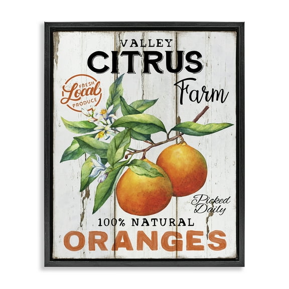 Stupell Industries Retro Citrus Farm Food & Beverage Painting Black Floater Framed Canvas Art Print Wall Art, 17 x 21