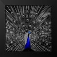 thumbnail image 2 of Phillip, Jamie 12x12 Black Modern Framed Museum Art Print Titled - Peacock Black, 2 of 5
