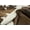 TAUPE WHITE, variant on H-Natural Kobe Cowhide 6'X7' Rug