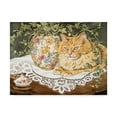 thumbnail image 1 of Trademark Fine Art 'Little Lion' Canvas Art by Jan Benz, 1 of 3