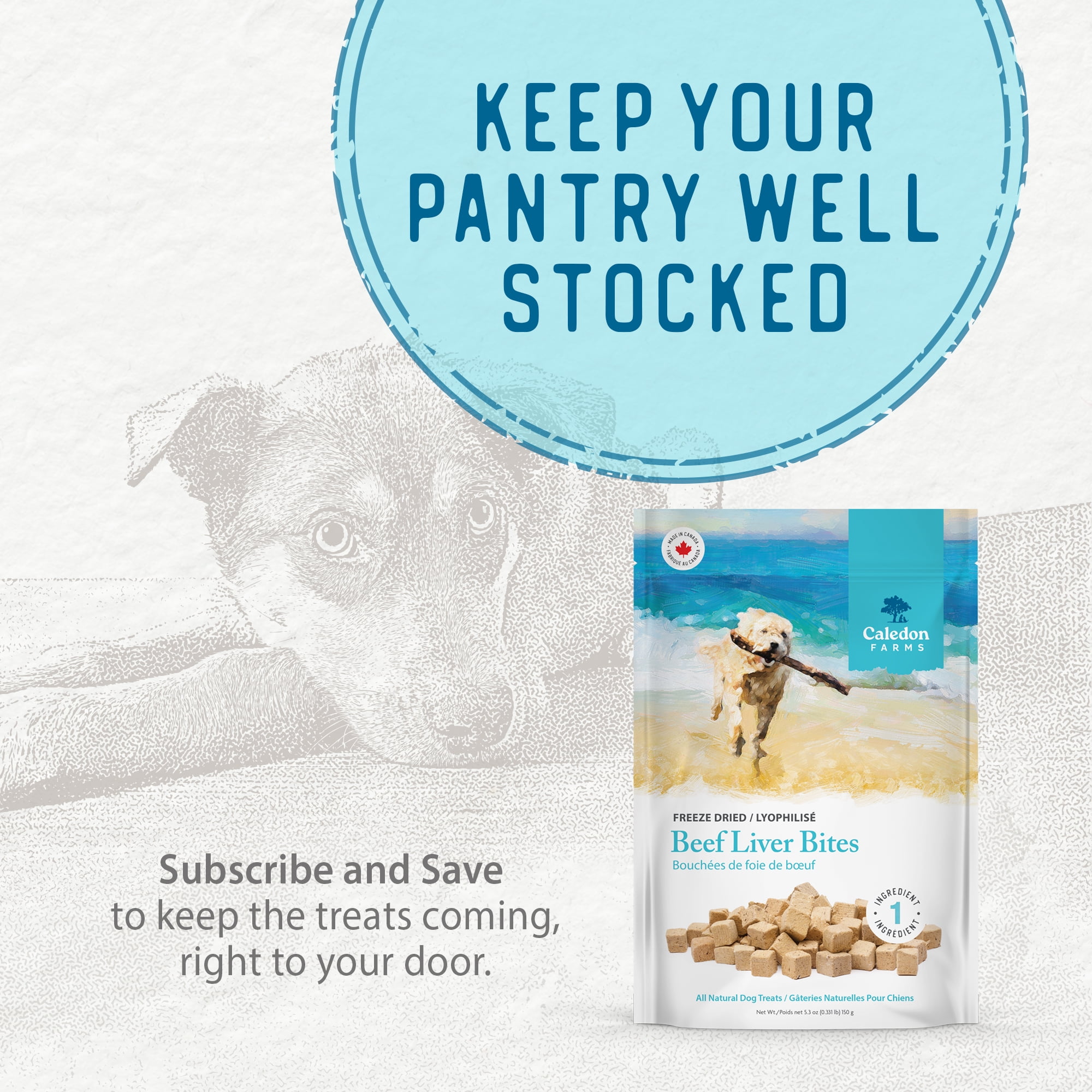 Caledon Farms Beef Liver Bites Single Ingredient All Natural Freeze Dried Dog Treats 150 g, 355g