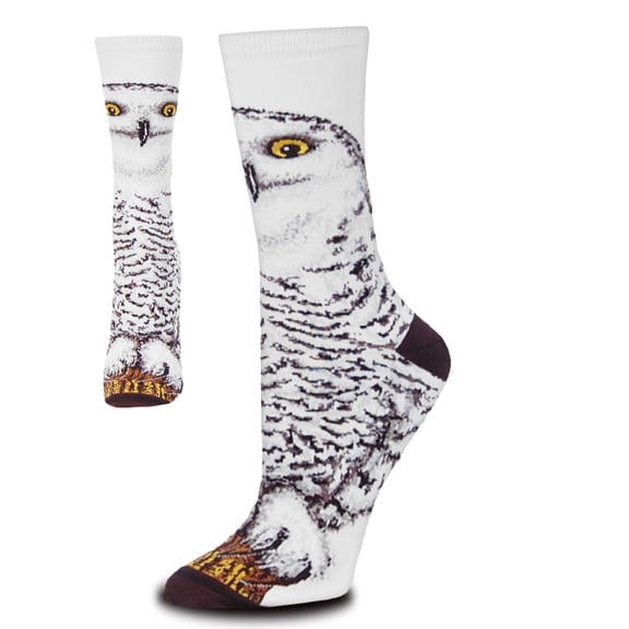 Realistic Snowy Owl White Medium Socks