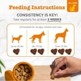 thumbnail image 4 of Zesty Paws Probióticos para Perros – Gomitas Digestivas con Sabor a Calabaza, 90 Unidades, 4 of 4