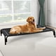 thumbnail image 1 of Cama Elevada para Perros Czpalo para Perros Extra Grandes hasta 54 kg, 1 of 6