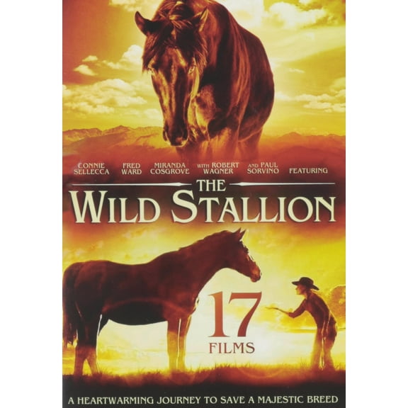 17-Family Films Featuring The Wild Stallion DVD