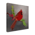 thumbnail image 2 of Trademark Fine Art Regina Moore Red Cardinal I Canvas Wall Art, 2 of 4