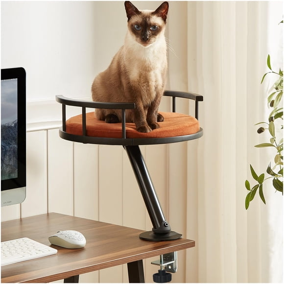 JuoPool Lit de Bureau pour Chat - Lit Monté pour Chat, Accessoires de Nid Surélevé pour Chaton Intérieur, Mobilier pour Chaton