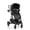 Dubhan Black, variant on Evenflo Shyft Intuiti+ Stroller (Dubhan Black)