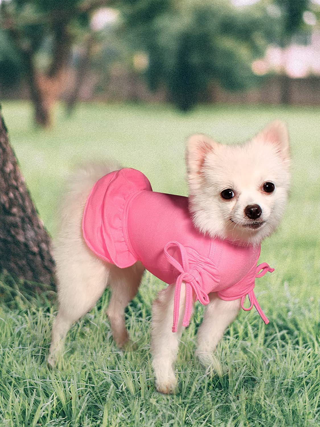 Topkins Valentine's Day Dog Dress, Sundress Costume Puppy Dresses for Small  Dogs Girl, Pink - Walmart.com