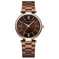 thumbnail image 1 of Bluelans Mini Focus Mujer Elegante Correa de Acero Números Romanos Reloj de Pulsera de Cuarzo con Esfera Grande, 1 of 5
