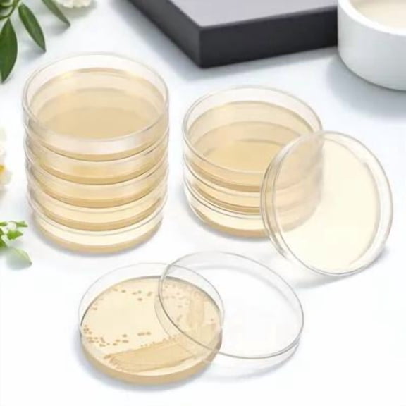 UPOUART 20Pcs Laboratory Agar Plates Round Agar for Biological Studies