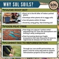 thumbnail image 6 of Sol Soils Chunky Perlite for Plants - Lightweight, All-Natural Volcanic Glass Soil Amendment to Improve Drainage & Aeration – 1 Quart, 6 of 8