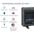 thumbnail image 6 of Bluegrass Living B30tpb-Bb 30,000 BTU Liquid Propane Blue Flame Space Heater - Black, 6 of 9