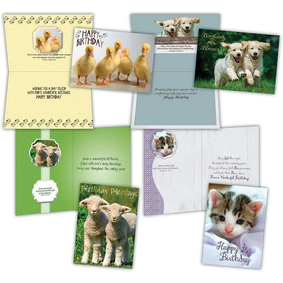 Birthday - Fur and Feathers - Assorted Birthday Cards, Box of 12