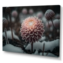 Designart A Blooming Pink Dahlia Flower In Winter II Canvas Wall Art