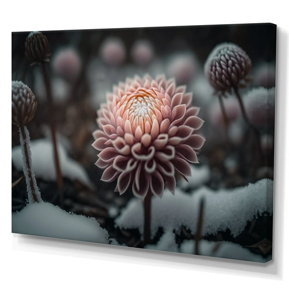 Designart A Blooming Pink Dahlia Flower In Winter II Canvas Wall Art