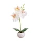 thumbnail image 2 of Bonsái De Orquídea Artificial De Tela 1 unidad de bonsái de Phalaenopsis de tela blanca y cerámica,orquídea artificial alta de seda en maceta para decoración del hogar y bodas. Rkxzt, 2 of 8