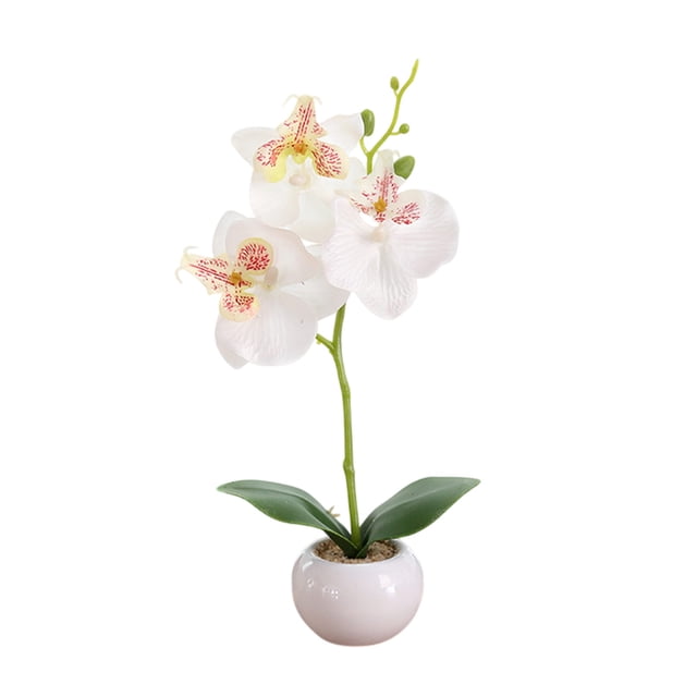 Pequeñas flores artificiales en maceta, orquídea Phalaenopsis, bonsái artificial de seda realista con maceta de cerámica de 28 cm, decoración de mesa para el hogar, la oficina, bodas, estantes o