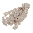 thumbnail image 4 of 15yds Vintage Embroidery Edge Ribbon Wedding Applique DIY Sewing Craft Light Beige, 4 of 8