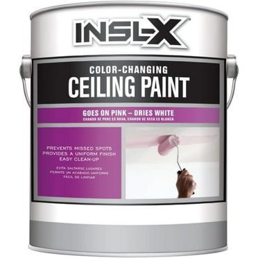 INSL-X COLR CHNG CEILNG PNT 1G