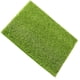 thumbnail image 3 of Jardín de hadas en miniatura Hada realista Jardín de césped artificial Casa de muñecas Jardinería DIY Moss Scienceny JJ17317-01, 3 of 6