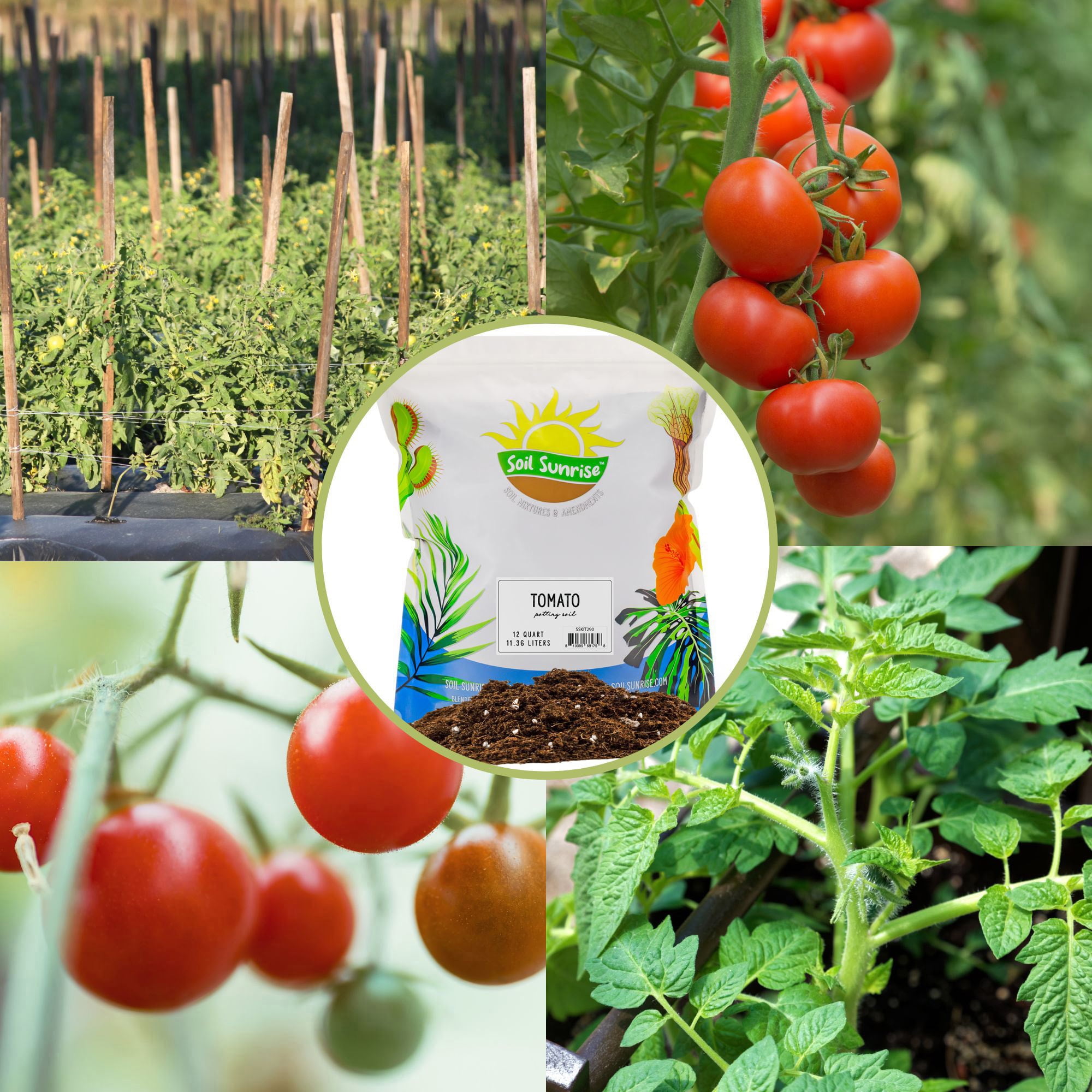 All Natural Tomato Starter/Potting Mix (12 Quarts), Perfect Backfill for Outdoor Tomato Plant Holes, Hand Blended with Natural Ingredients Including Worm Castings
