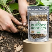 Herb To Body Burdock Root C/S (Cut & Sifted) | Arctium Lappa | Wildcrafted | 4oz