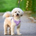 thumbnail image 4 of BARKBAY No Pull Dog Harness Large Reflective Dog Harness with Front Clip and Easy Control Handle for Walking Training Running with ID tag Pocket(Violet Purple,XS), 4 of 11