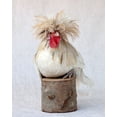 thumbnail image 2 of Soderman, Tania 20x24 Black Ornate Wood Framed with Double Matting Museum Art Print Titled - Rod the Rooster II, 2 of 4