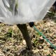 thumbnail image 3 of 50 bolsas de protección de frutas, bolsas de red de frutas de 13 x 21 pulgadas, bolsas de red de jardín con cordón, bolsas de árboles frutales, bolsas de barrera de red para proteger, 3 of 5
