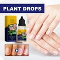 Qasha Plant Drops for Nail Care, Oregano Oil for Nails Care, Nail