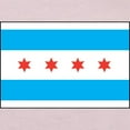 thumbnail image 3 of CafePress - Chicago Flag Toddler T Shirt - Cute Toddler T-Shirt, 100% Cotton, 3 of 4