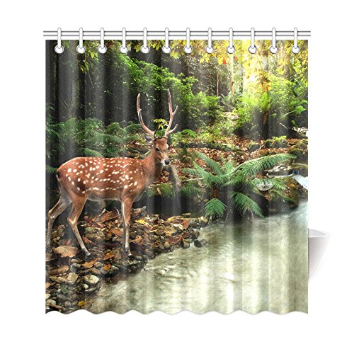 BPBOP Mystic Forest Stream Landscape Shower Curtain, Tropical Wildlife