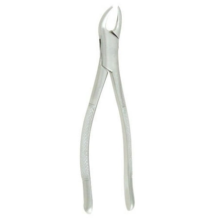 Dental Extracting Forceps #151 6.5”