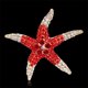 thumbnail image 5 of 2x Pink Rhinestone Estrels Broche Pin Joyas Animal Náutico Temáticas Hugo Broche de animal de diamantes de imitación, 5 of 10