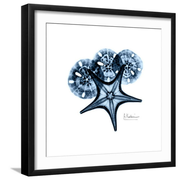 Art.com Blue Starfish 1 Premium Giclee Print by Albert Koetsier, Black Frame Wall Art, 21" x 21"