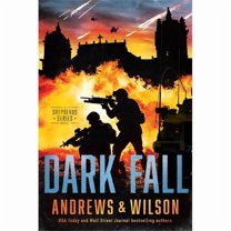Tyndale House Publishers 222373 Dark Fall A Shepherds Series Novel Softcover