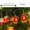 B, variant on Cyber and Monday Deals 2024!Black & Friday Deal 2024!Eoraif Christmas String Lights 6.6 Ft Wooden House String Lights With Carved Reindeer Patterns Warm Colored Light