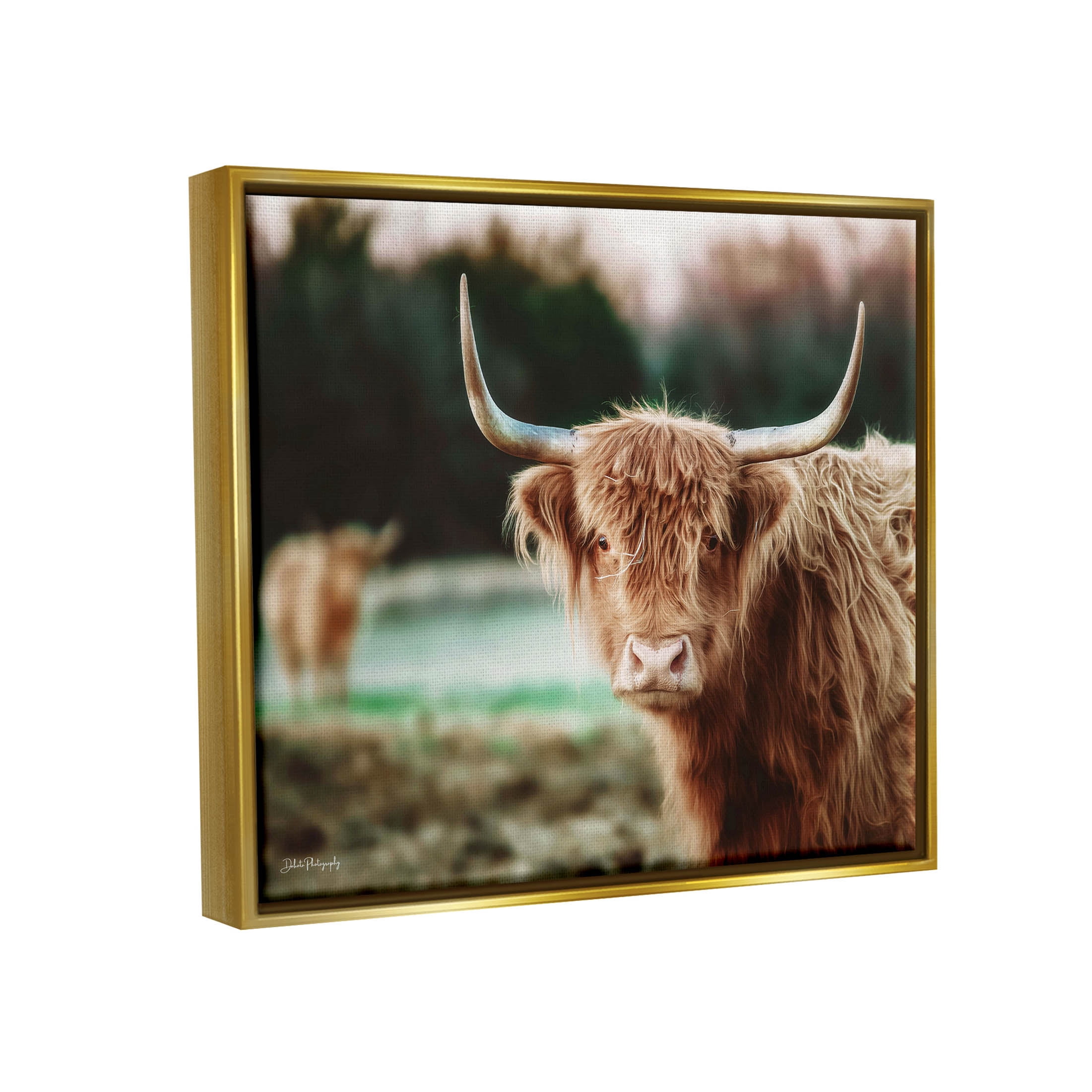 Stupell Industries Highland Cattle Gazing Photography Photograph Metallic Gold Floating Framed Canvas Print Wall Art, Design by Dakota Diener