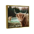 thumbnail image 3 of Stupell Industries Highland Cattle Gazing Photography Photograph Metallic Gold Floating Framed Canvas Print Wall Art, Design by Dakota Diener, 3 of 6