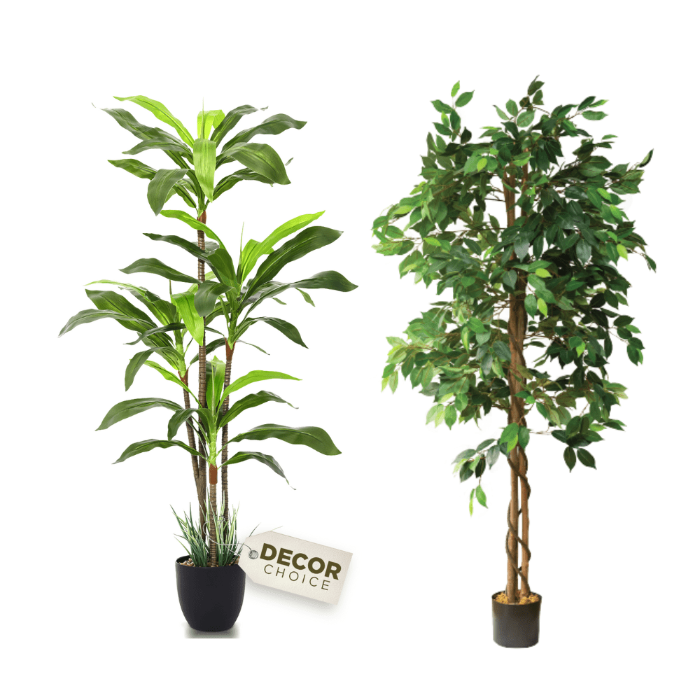 Fake Ficus Silk Tree and Dracaena Indoor Plant 5 Feet