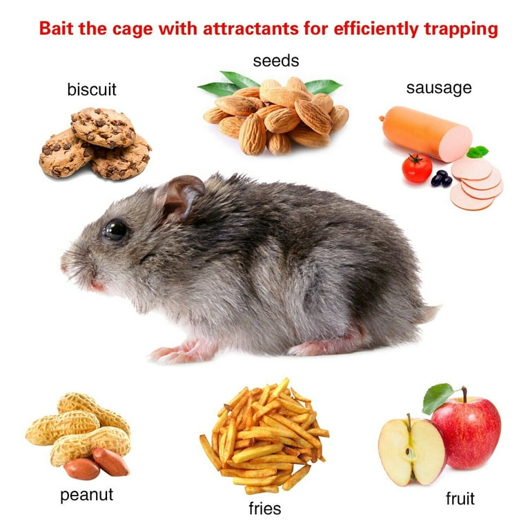 Cisvio Rat Trap Cage Humane Live Rodent Trap Cage Mouse Control Bait Catch That Work for Indoor and Outdoor Small Animal