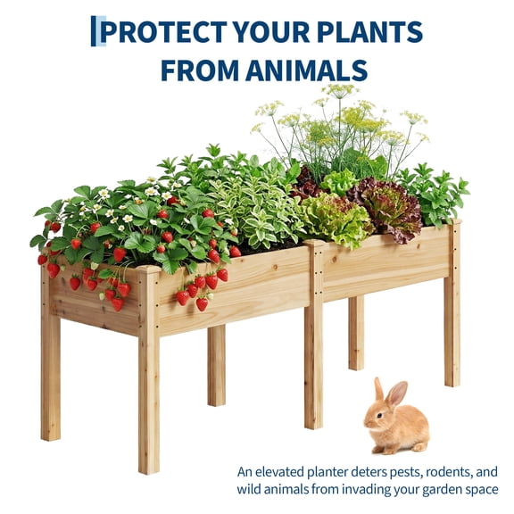 Wooden Raised Garden Bed with Legs, Elevated Reinforced Planter Box for Outdoor Backyard/Patio/Balcony Vegetables with Divider Panel