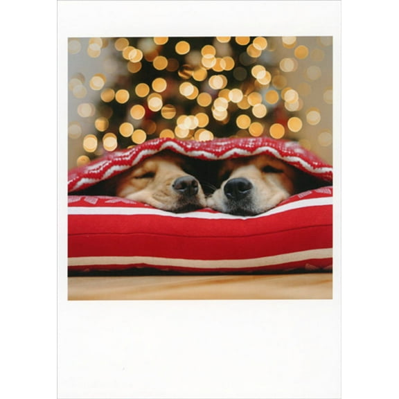 Palm Press Two Sleeping Dogs Underneath Red Blanket Cute Box of 10 Christmas Cards