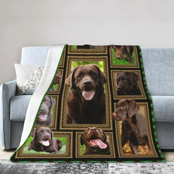 Chocolate Labrador Blanket Gifts For Kids Adults - Lightweight Throw Blanket For Bedroom Living Room Decor Soft Fuzzy Fleece Cozy Plush Bed Couch 50"X40"